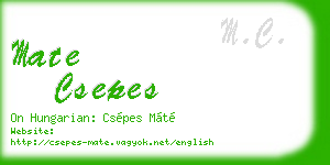 mate csepes business card