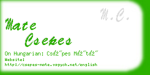 mate csepes business card